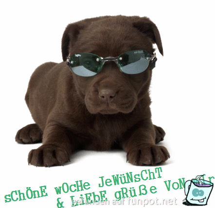 schoene-woche45 schoene-woche45