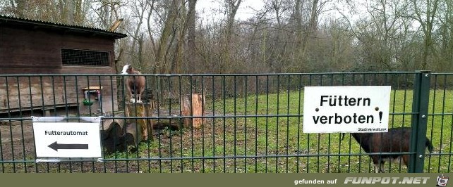 Füttern verboten !!!! Füttern verboten !!!!