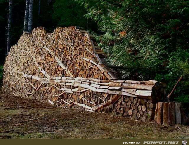 Holzschlichtung Holzschlichtung