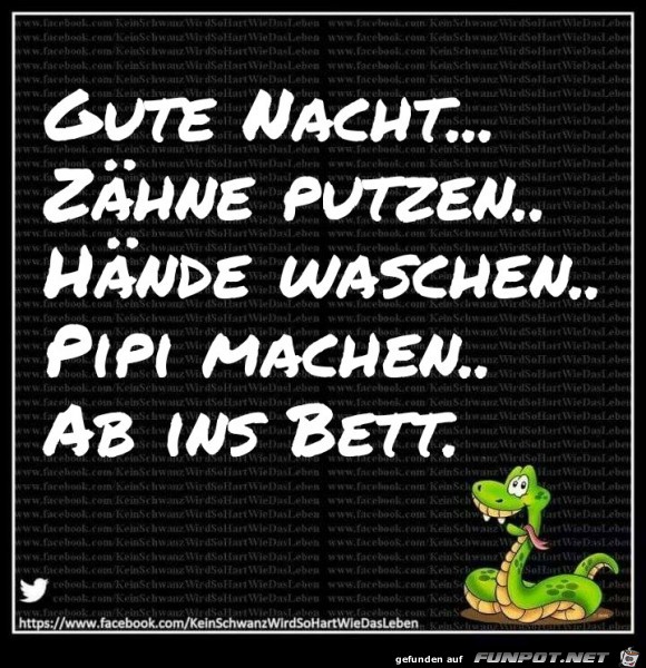 Gute Nacht Gute Nacht