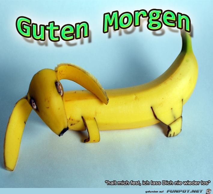 Guten Morgen Guten Morgen