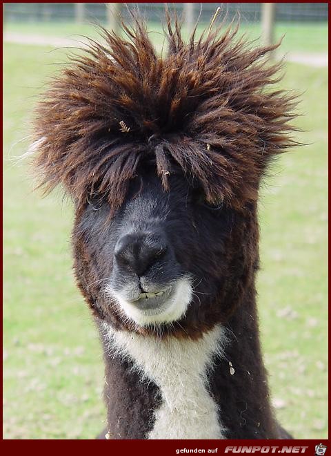 badhairday badhairday