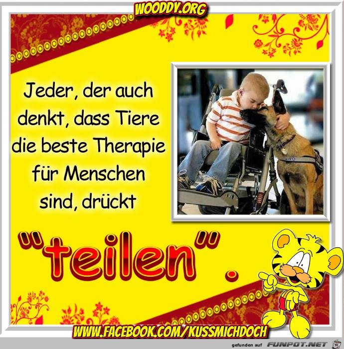 Teilen Teilen