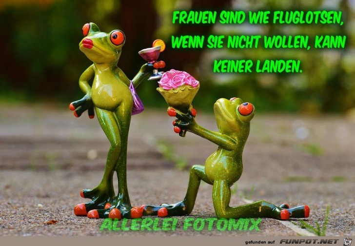 Fluglotsen Fluglotsen