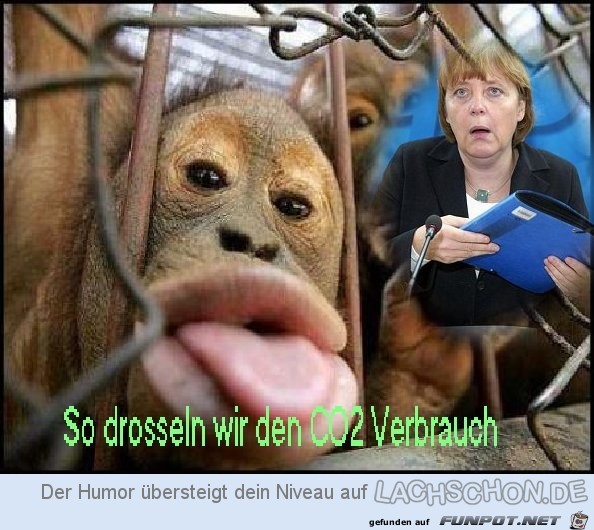 RonnyHertel RonnyHertel
