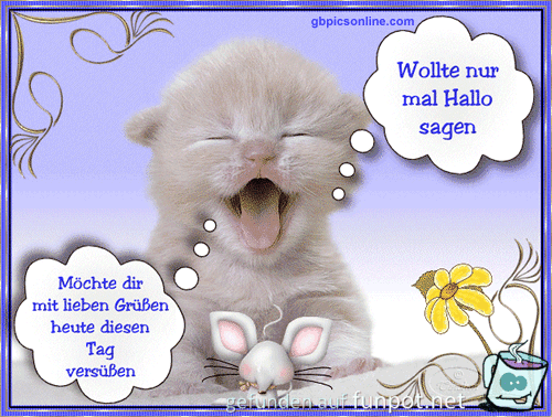 Hallo sagen Hallo sagen