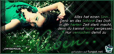 alles hat einen Sinn alles hat einen Sinn