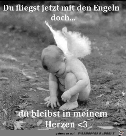 Du fliegst Du fliegst