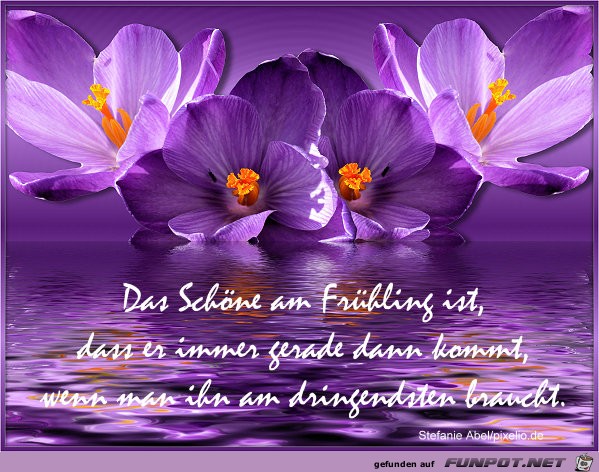 Fruehling Fruehling