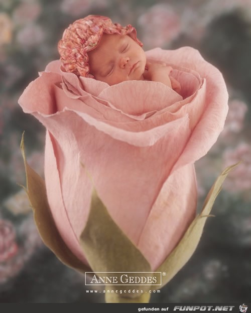 Babyfoto von Anne Geddes111