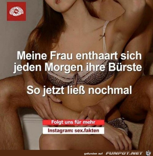 bürsten bürsten