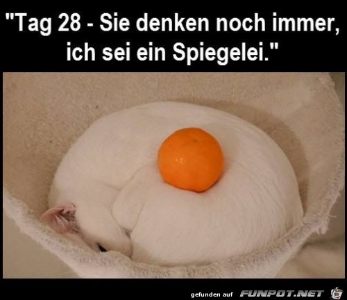 Ei Ei