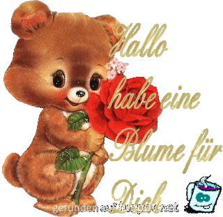 Hallo Hallo