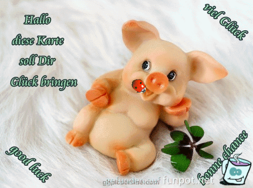 viel Glueck viel Glueck