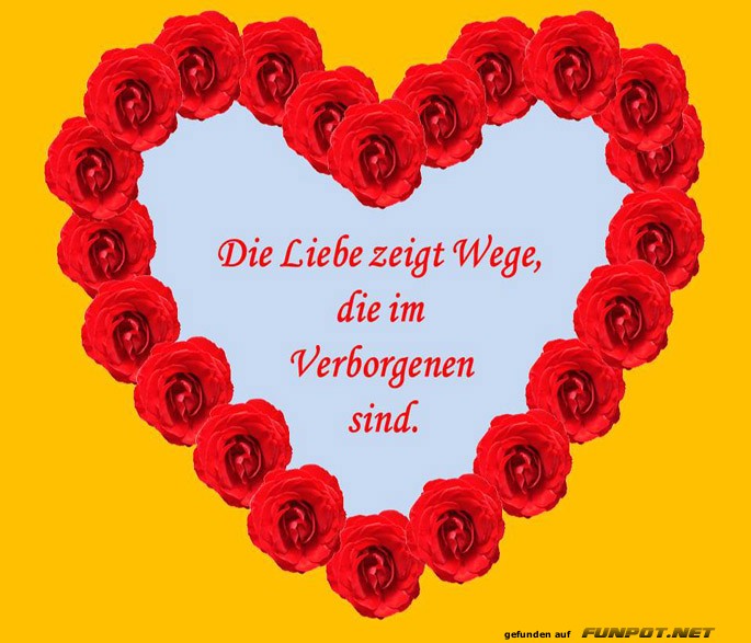 Die Liebe zeigt Die Liebe zeigt