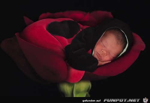 Babyfoto 1 144 Babyfoto 1 144