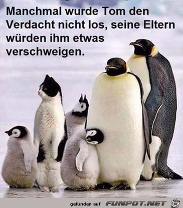 Verdacht Verdacht