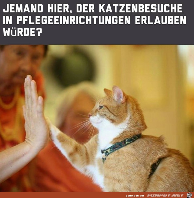 Jemand hier Jemand hier