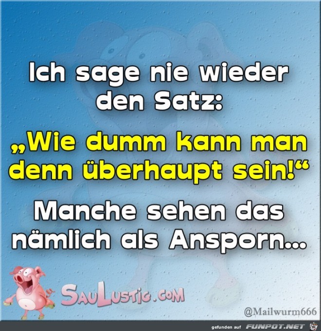 Sage-ich-nie-wieder