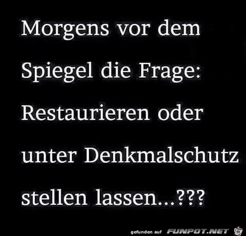 Morgens vor dem Spiegel Morgens vor dem Spiegel