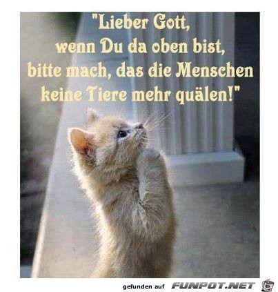 Lieber Gott