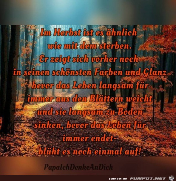 Im Herbst