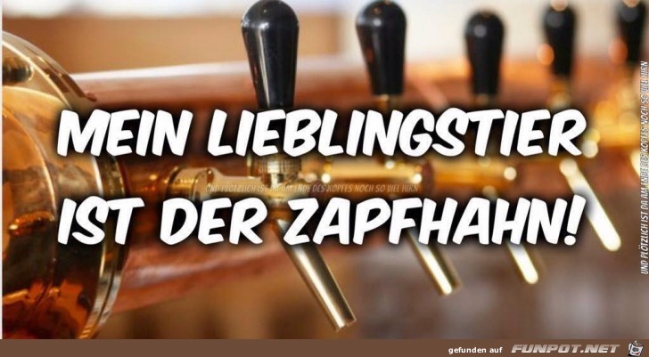 Mein Lieblingstier Mein Lieblingstier