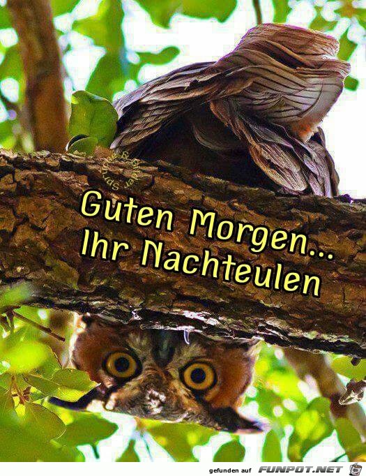 Guten Morgen 