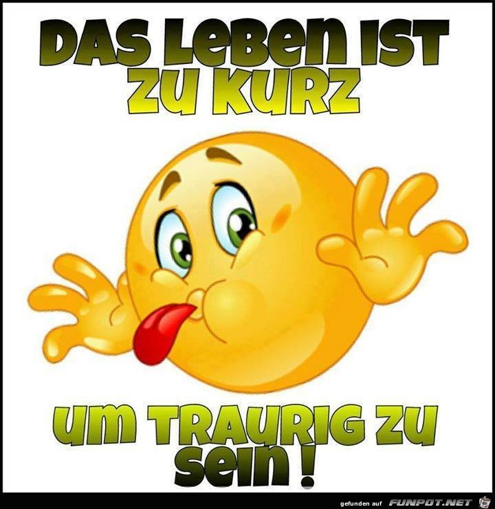 Zu kurz Zu kurz