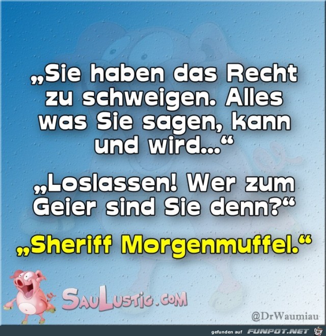 Sie-haben-das-Recht-zu-schweigen Sie-haben-das-Recht-zu-schweigen