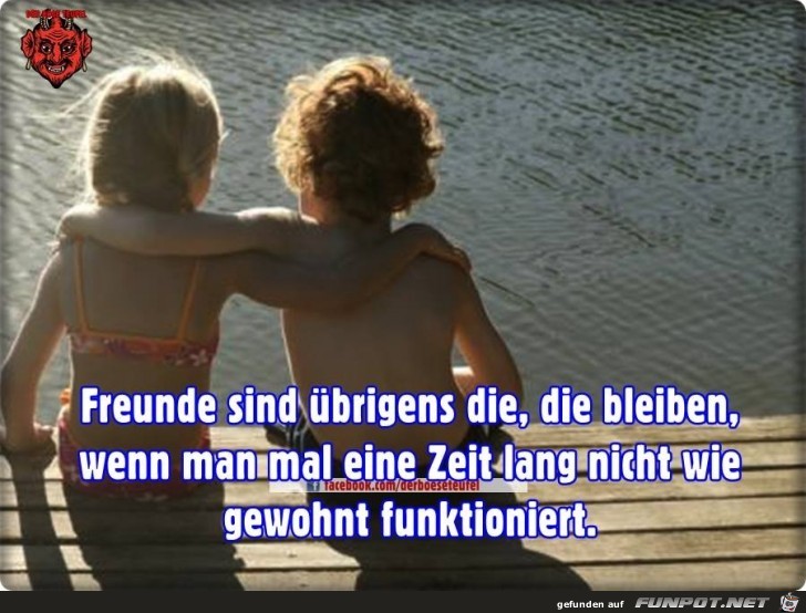 Freunde Freunde