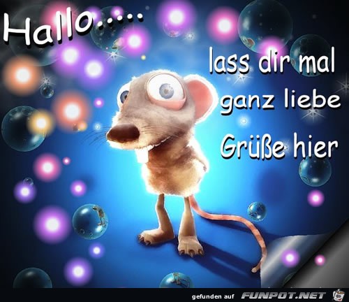 Hallo