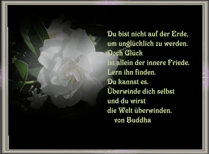 du bist nicht auf der Erde du bist nicht auf der Erde