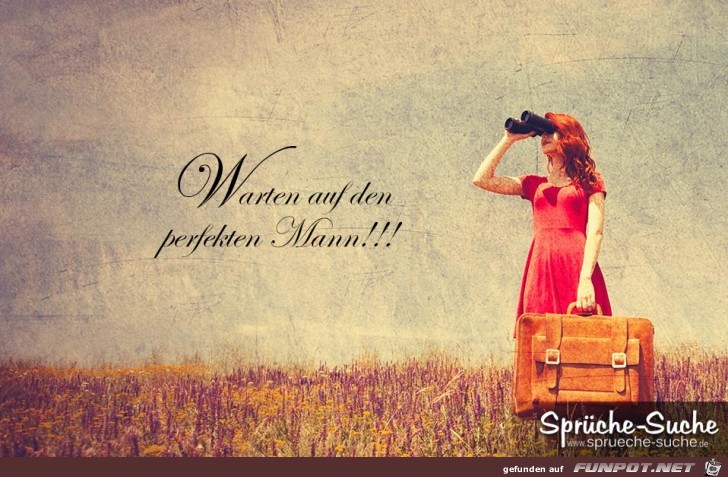 auf-der-suche-nach-dem-perfekten-mann auf-der-suche-nach-dem-perfekten-mann