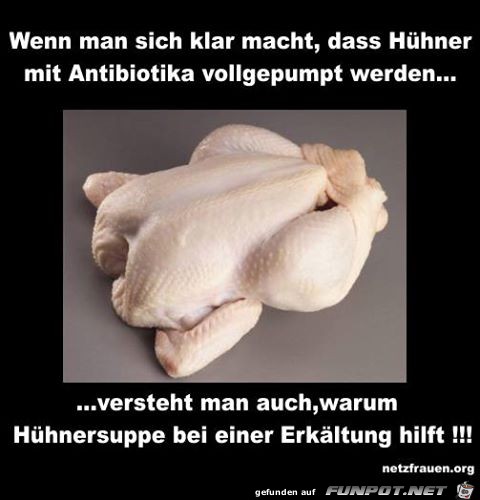 Huehnersuppe Huehnersuppe