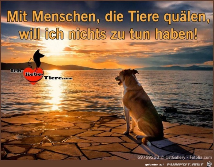 Die Tiere quaelen Die Tiere quaelen