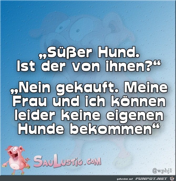 Süßer-Hund Süßer-Hund