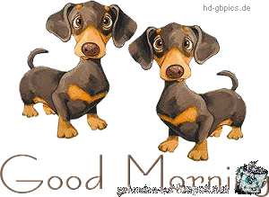 guten-morgen guten-morgen