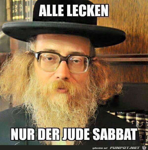 Alle Alle