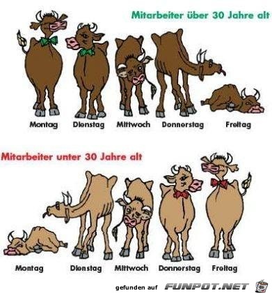 Mitarbeiter Mitarbeiter