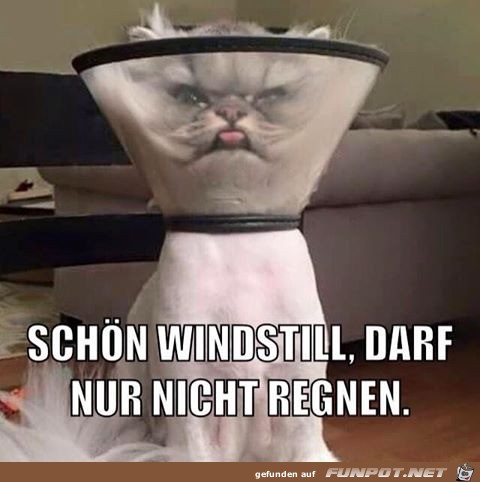 Windstill Windstill