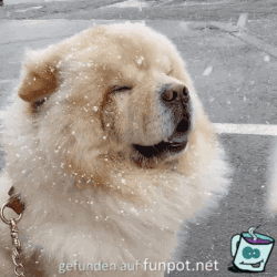 lecker Schnee lecker Schnee