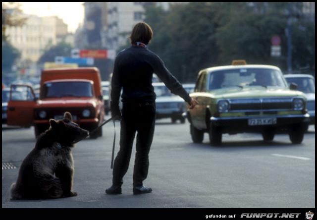 Hitchhiker Autopstopper Hitchhiker Autopstopper