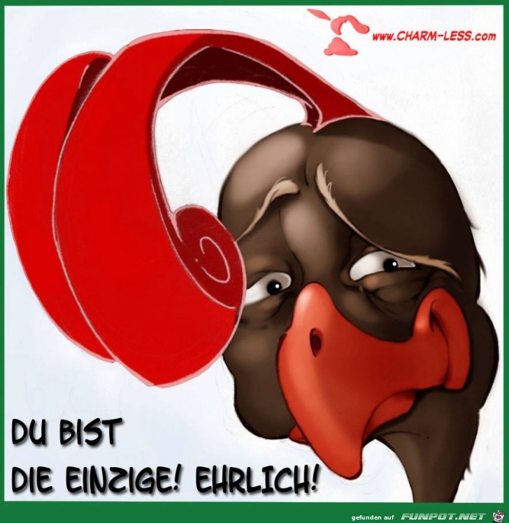 hahn hahn
