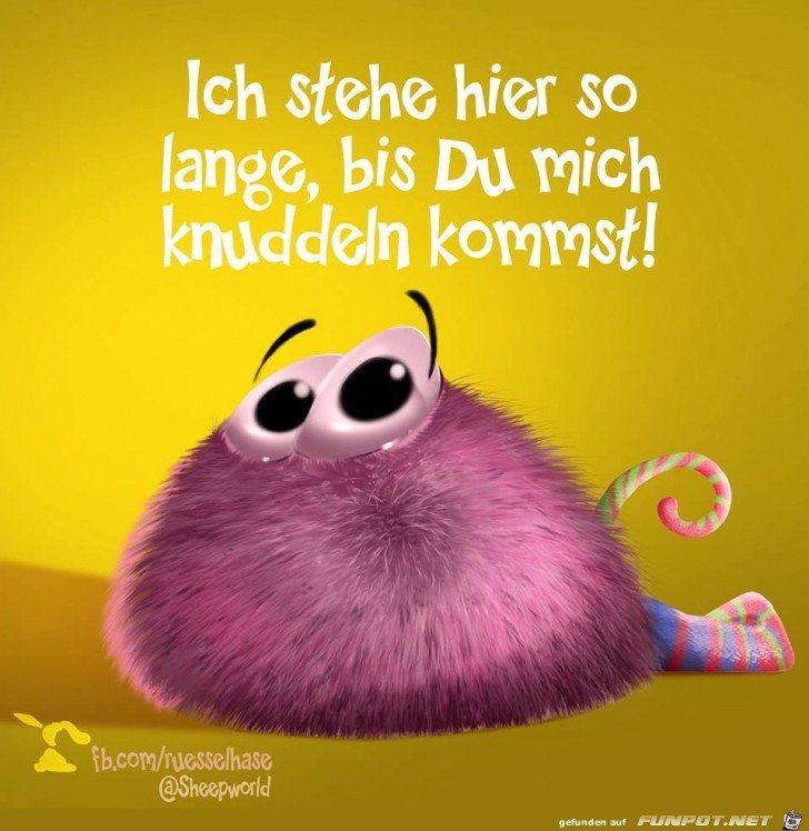 hzut hzut
