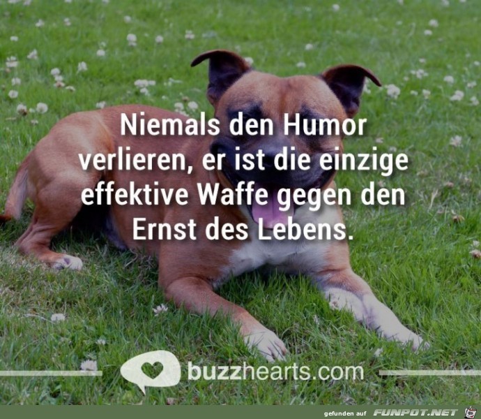 waffe waffe