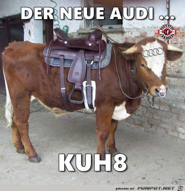 Audi Kuh 8