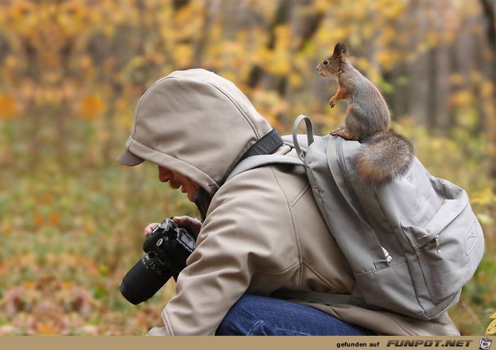 Naturfotografen