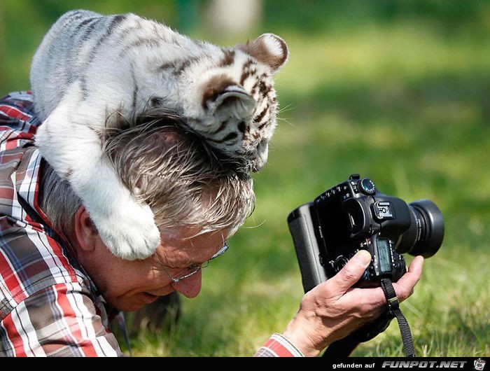 Naturfotografen