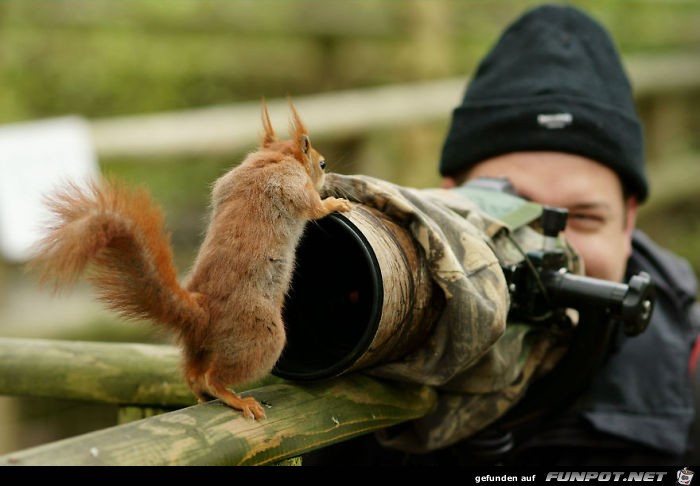 Naturfotografen